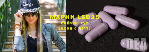 дживик Майский