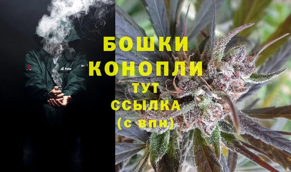 дживик Майский