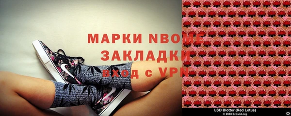 дживик Майский