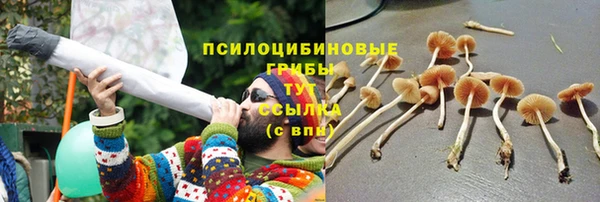 дживик Майский