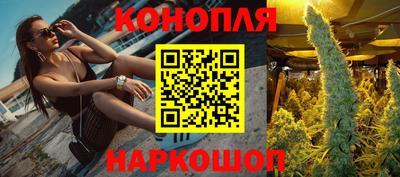 эйфоретик Аргун