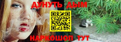 эйфоретик Аргун