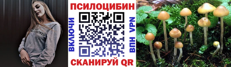 Галлюциногенные грибы Psilocybe Волжский