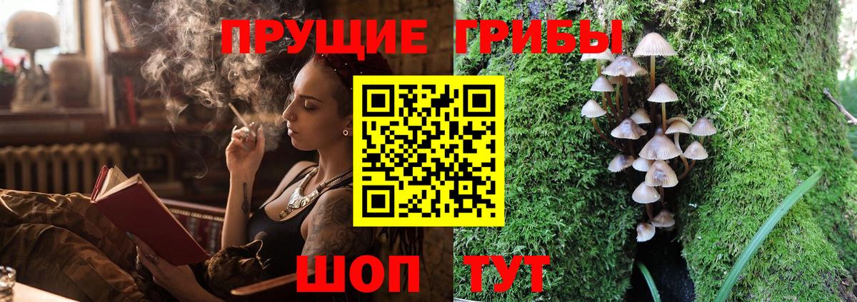 Волжский  Галлюциногенные грибы прущие грибы  Вход с VPN  Псилоцибиновые грибы мицелий 